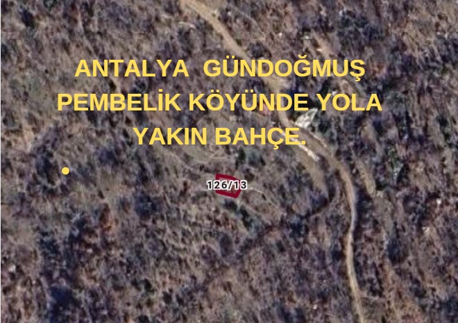 Fotoğraf